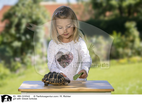 Mdchen mit Griechischer Landschildkrte / girl with Greek tortoise / RR-103542