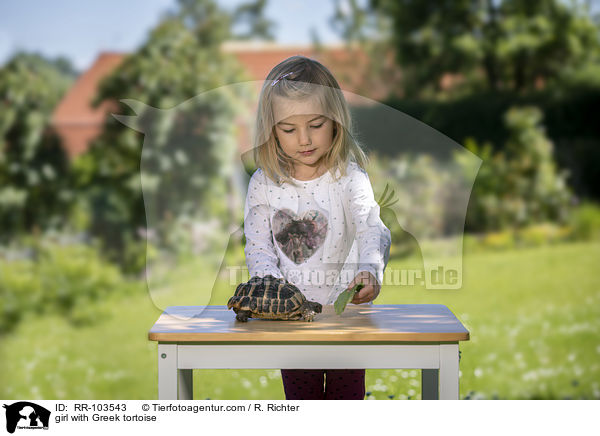 Mdchen mit Griechischer Landschildkrte / girl with Greek tortoise / RR-103543