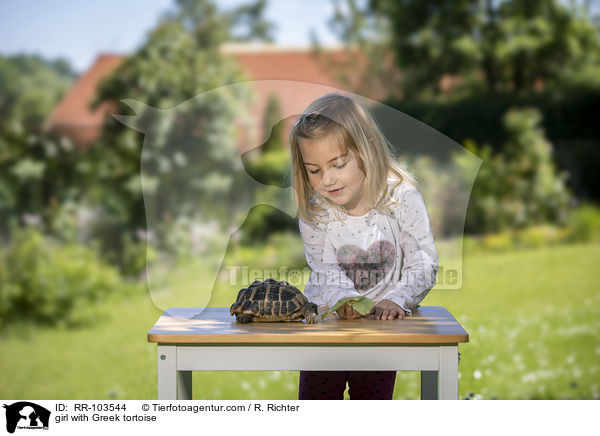 Mdchen mit Griechischer Landschildkrte / girl with Greek tortoise / RR-103544