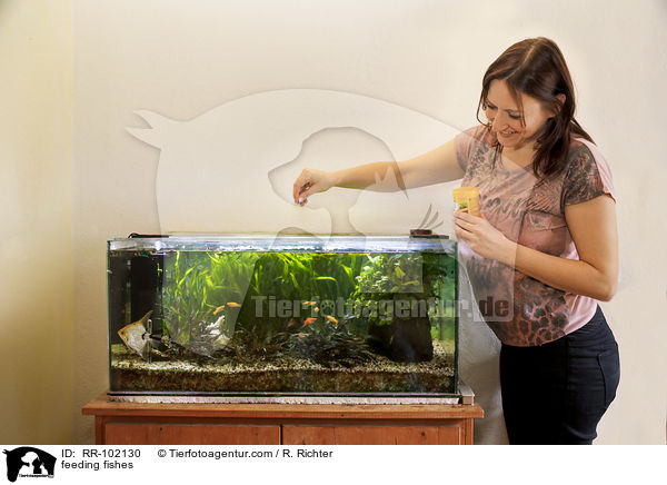 Fische fttern / feeding fishes / RR-102130