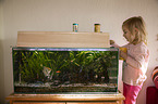 girl in front of an Aquarium with Swordtails and Angel Fish