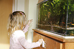 girl in front of an Aquarium with Swordtails and Angel Fish