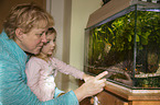 humans in front of an Aquarium with Swordtails and angel fish