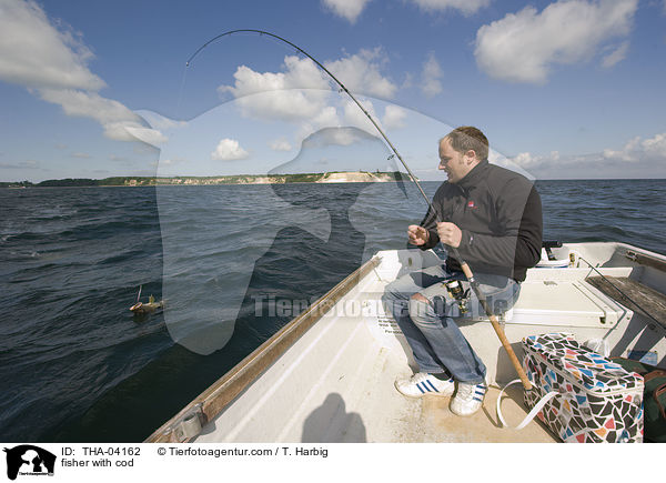 Angler mit Dorsch / fisher with cod / THA-04162
