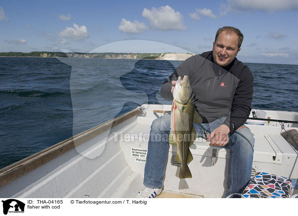 Angler mit Dorsch / fisher with cod / THA-04165