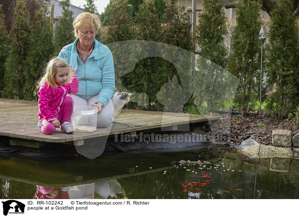people at a Goldfish pond / RR-102242