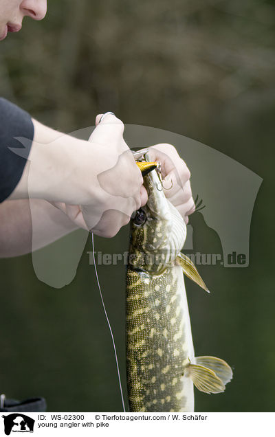 junger Angler mit Hecht / young angler with pike / WS-02300