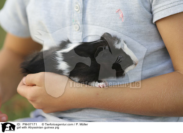 girl with Abyssinian guinea pig / PM-07171