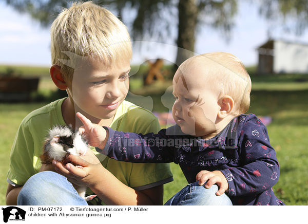 Kinder mit Rosettenmeerschwein / children with Abyssinian guinea pig / PM-07172