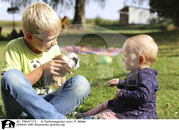 children with Abyssinian guinea pig / PM-07173