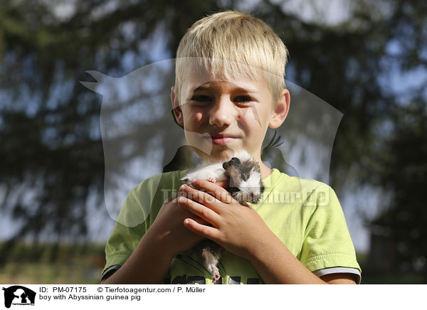 Junge mit Rosettenmeerschwein / boy with Abyssinian guinea pig / PM-07175