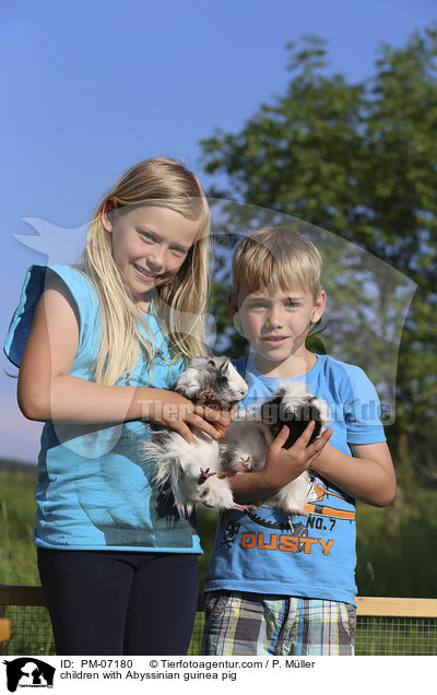 Kinder mit Rosettenmeerschwein / children with Abyssinian guinea pig / PM-07180