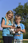 children with Abyssinian guinea pig