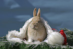 Christmasbunny