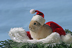 Christmasbunny