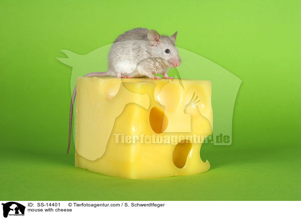 mouse with cheese / SS-14401