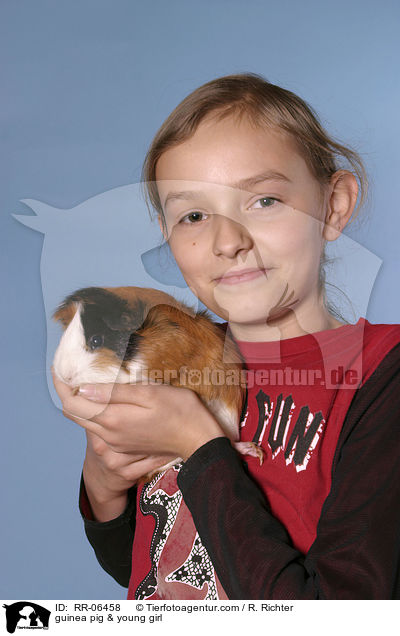 Meerschwein mit Kind / guinea pig & young girl / RR-06458