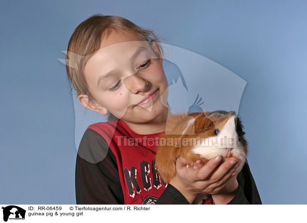 Meerschwein mit Kind / guinea pig & young girl / RR-06459