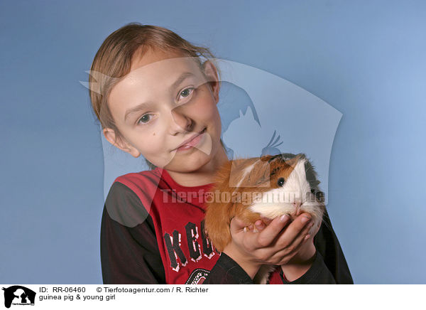 Meerschwein mit Kind / guinea pig & young girl / RR-06460