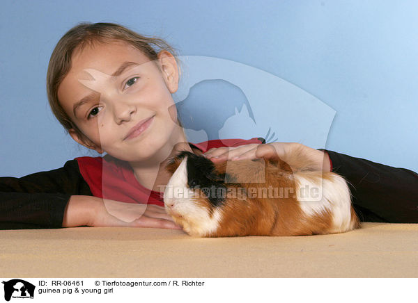 Meerschwein mit Kind / guinea pig & young girl / RR-06461