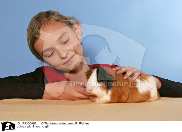 Meerschwein mit Kind / guinea pig & young girl / RR-06462