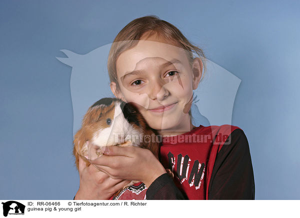 Meerschwein mit Kind / guinea pig & young girl / RR-06466