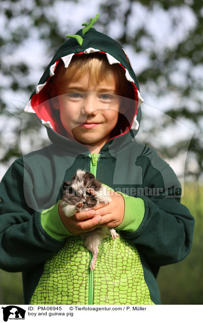 boy and guinea pig / PM-06945