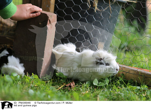 Kind und Meerschweine / kid and guinea pigs / PM-06946