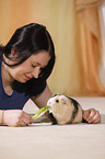 young woman with guinea pig