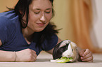 young woman with guinea pig