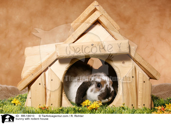 bunny with rodent house / RR-18610