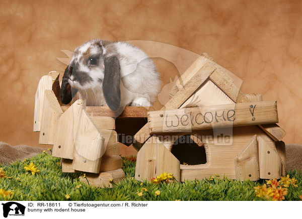 bunny with rodent house / RR-18611