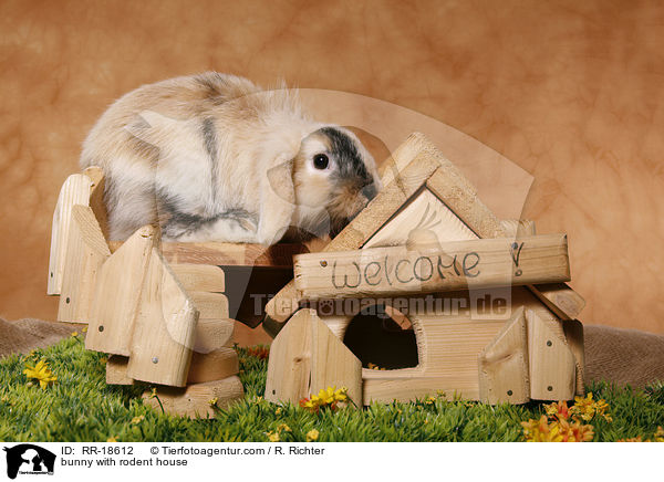 Kaninchen mit Nagerhuschen / bunny with rodent house / RR-18612