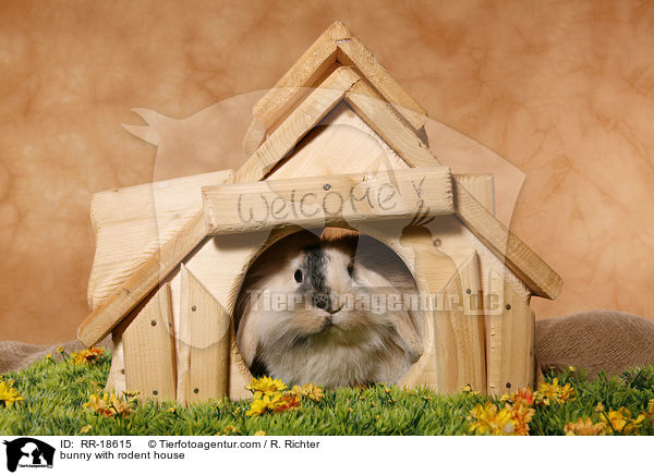 Kaninchen mit Nagerhuschen / bunny with rodent house / RR-18615