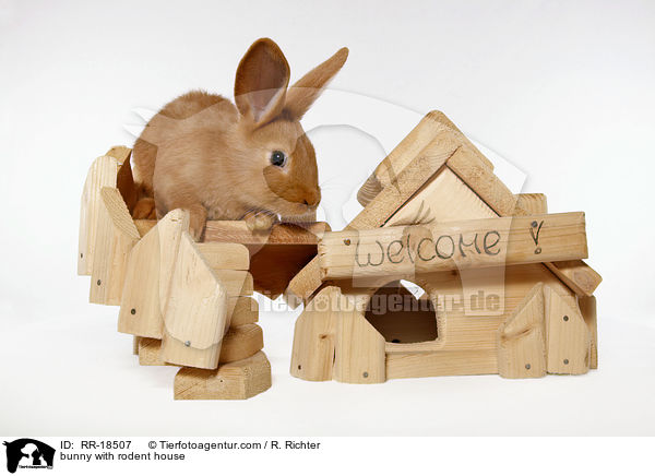 Kaninchen mit Nagerhuschen / bunny with rodent house / RR-18507