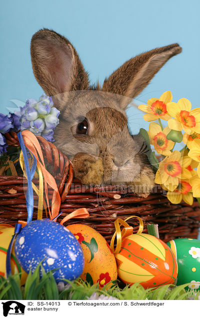 Osterhase / easter bunny / SS-14013