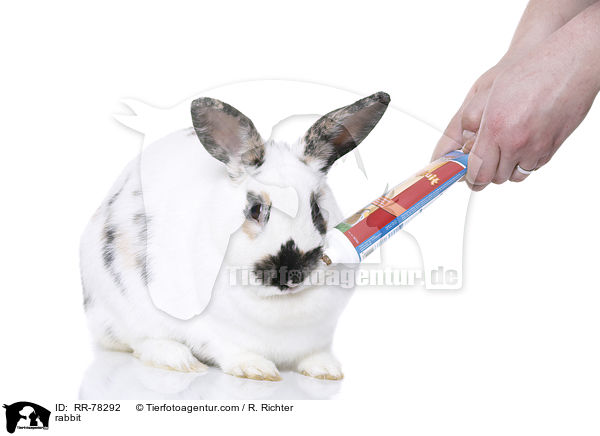 rabbit / RR-78292