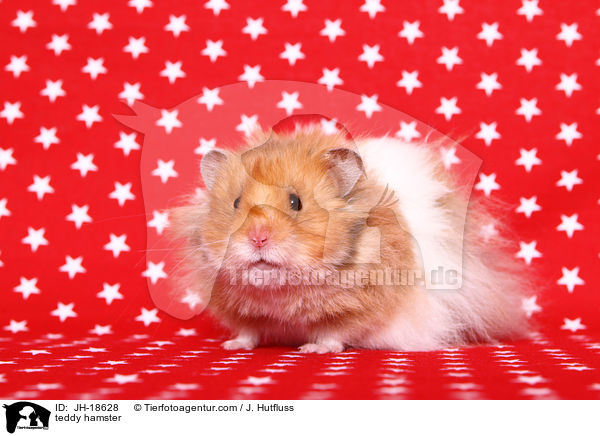 teddy hamster / JH-18628