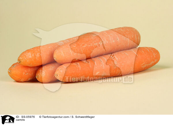 Mhren / carrots / SS-05976