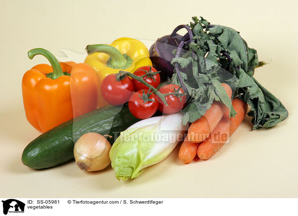 vegetables / SS-05981