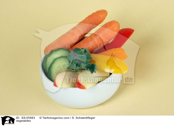 vegetables / SS-05983