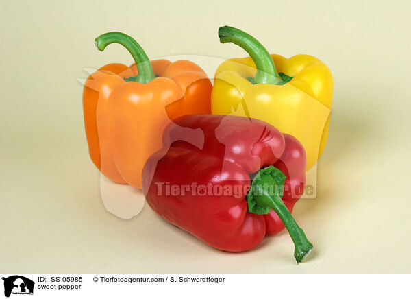 sweet pepper / SS-05985