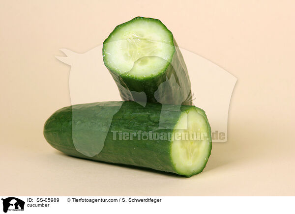 cucumber / SS-05989