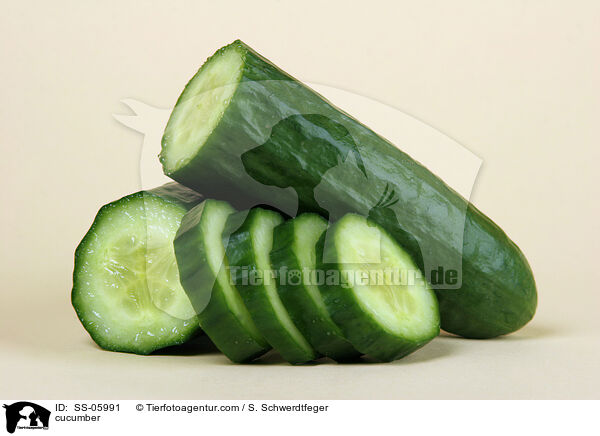 cucumber / SS-05991