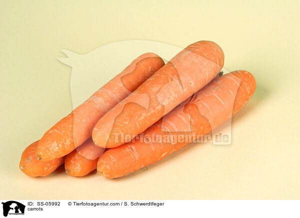 carrots / SS-05992