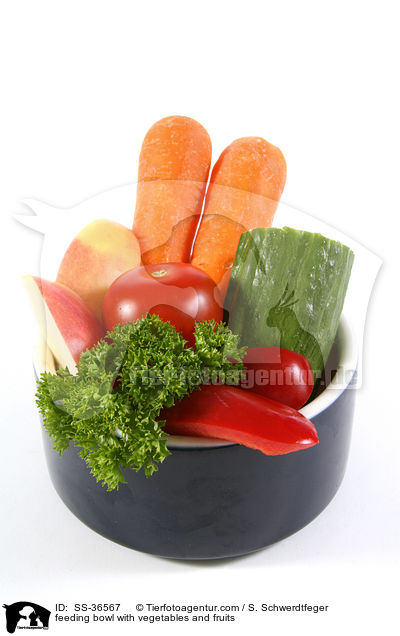 Futternapf mit Gemse und Obst / feeding bowl with vegetables and fruits / SS-36567
