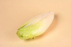 chicory