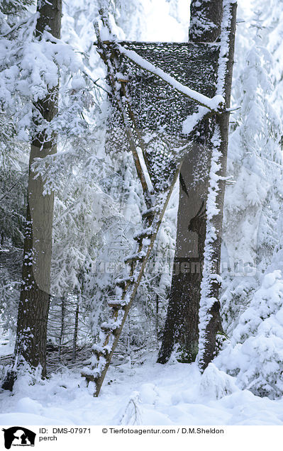 Hochsitz / perch / DMS-07971