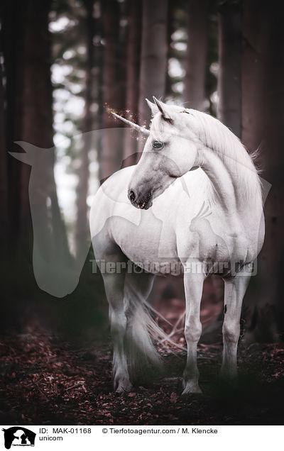 Einhorn / unicorn / MAK-01168
