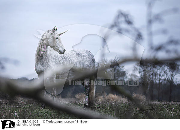 stehendes Einhorn / standing Unicorn / SBA-01022